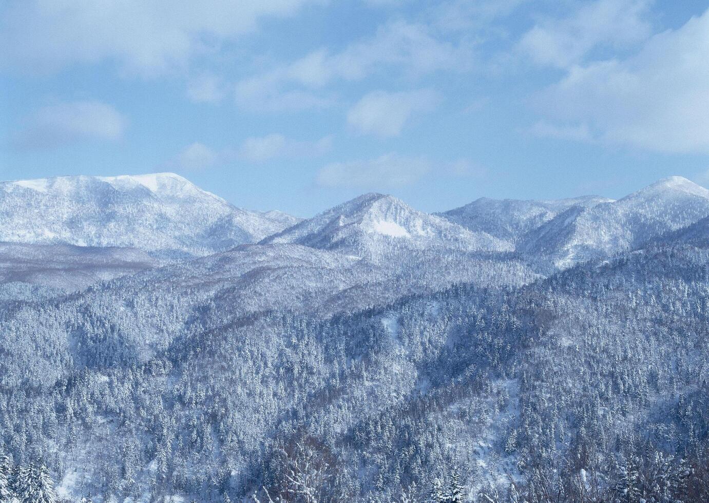a snowy mountain range with a few trees photo