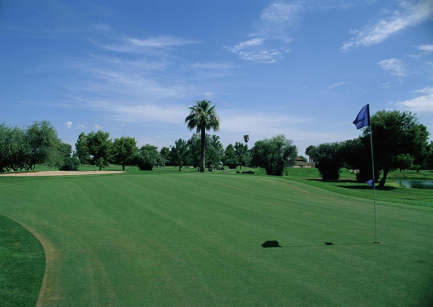 a golf course with a green grass field and trees photo