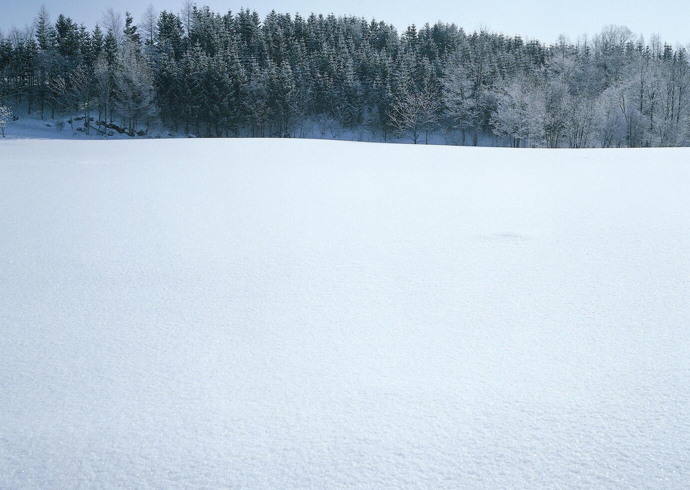 a person standing in the snow with a snowboard photo