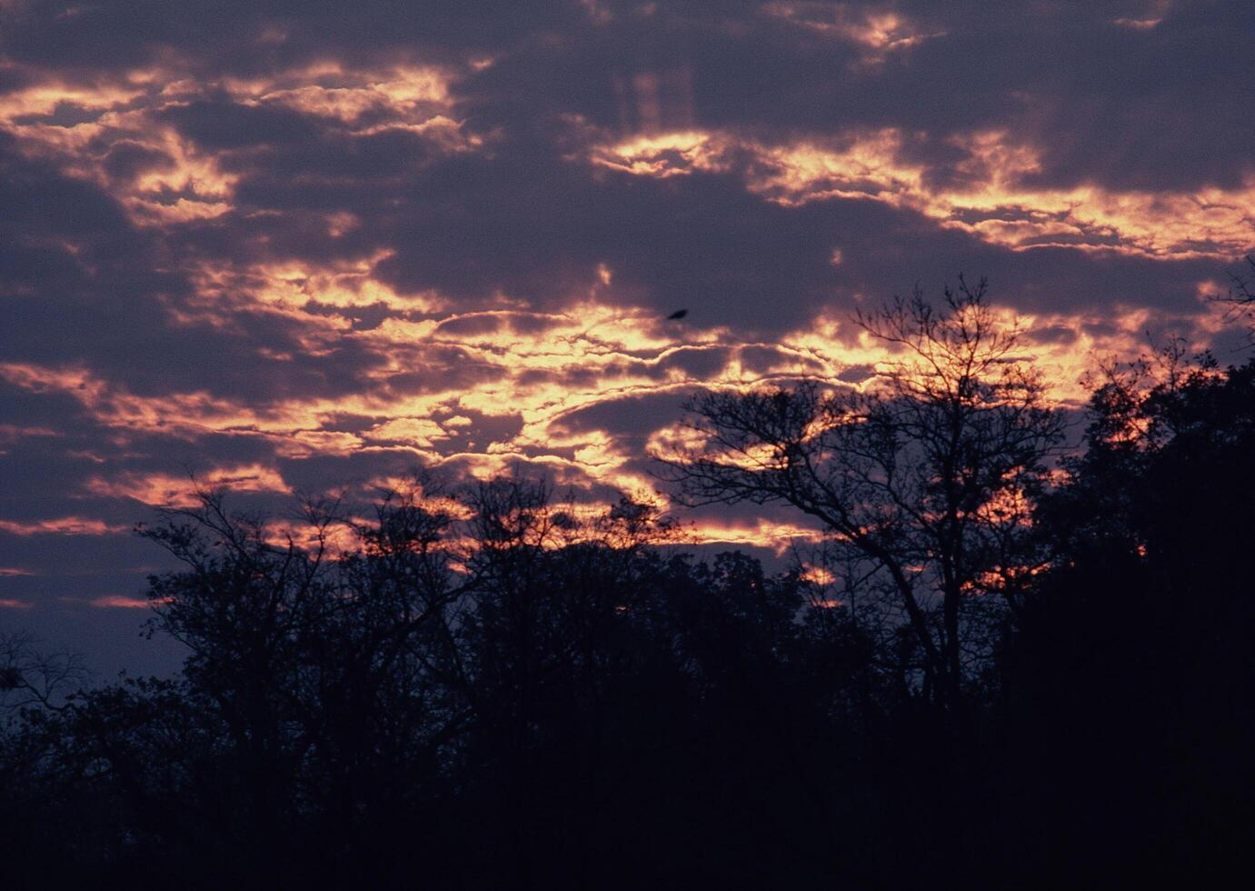 a sunset with clouds and trees in the background photo