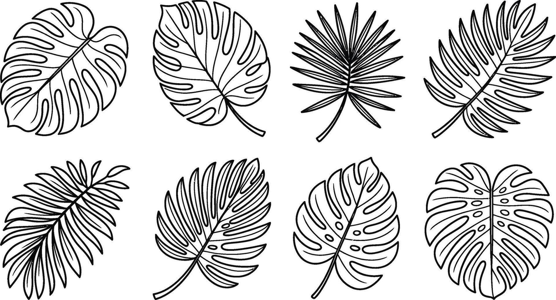 Black and white outline tropical leaves collection perfect for botanical design projects vector
