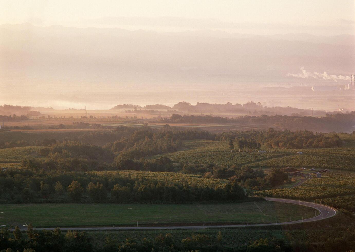 a view of a highway and a field with trees photo