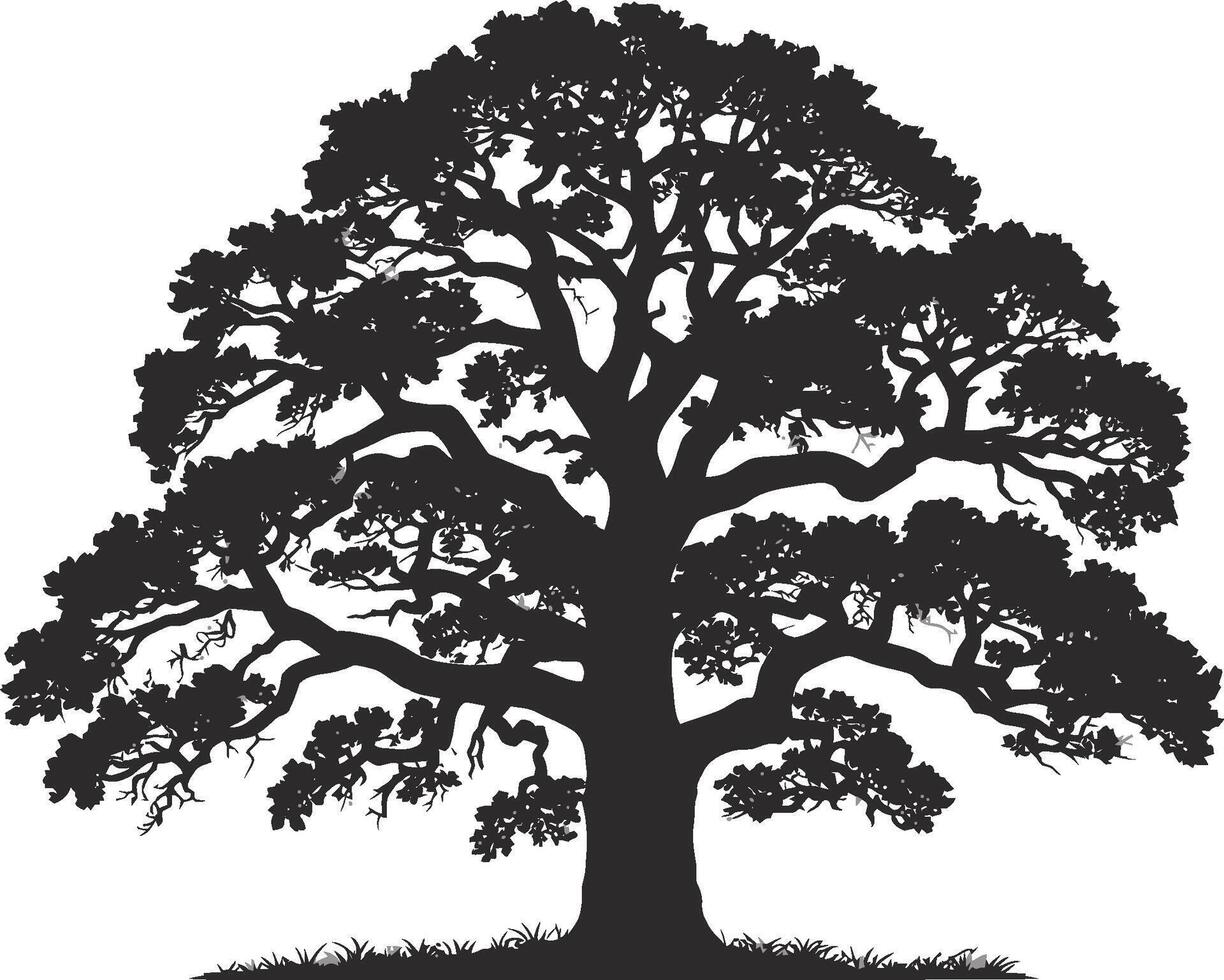 Silhouette of a majestic oak tree with detailed branches and foliage against a white background vector