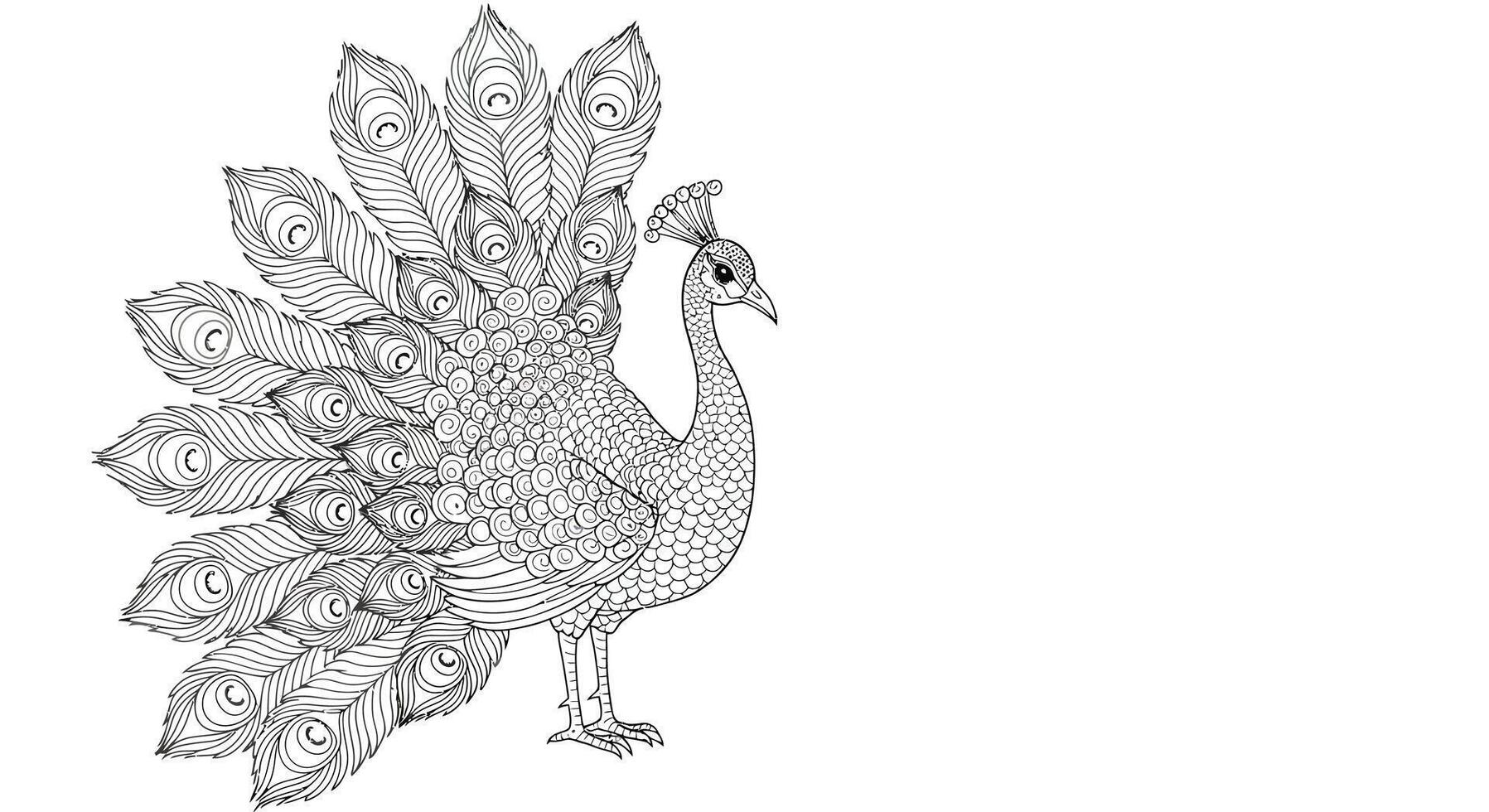 Beautiful Peacock Displaying Elegant Tail Feathers Realistic Adult Coloring Page vector