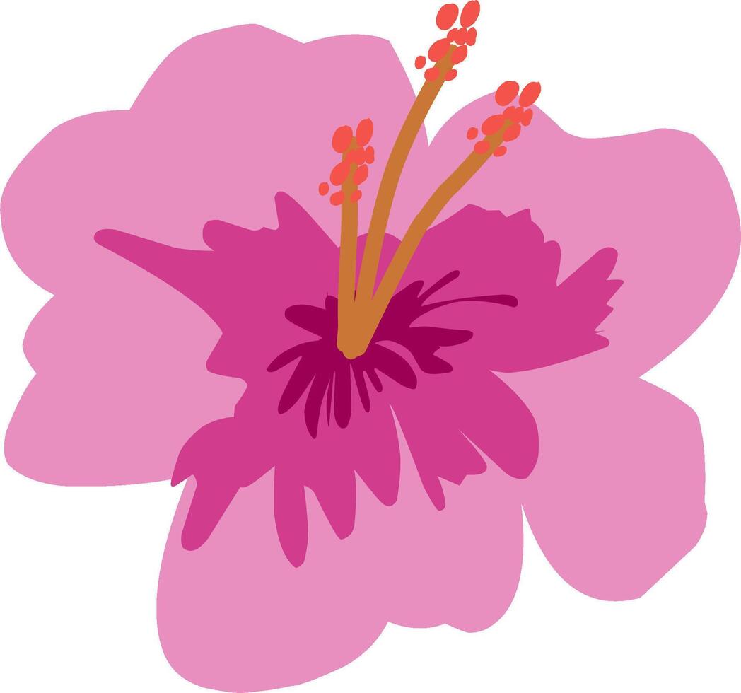 illustration of a vibrant exotic hibiscus flower in pink and purple tones. Ideal for tropical themes, nature prints, or floral decorative designs vector