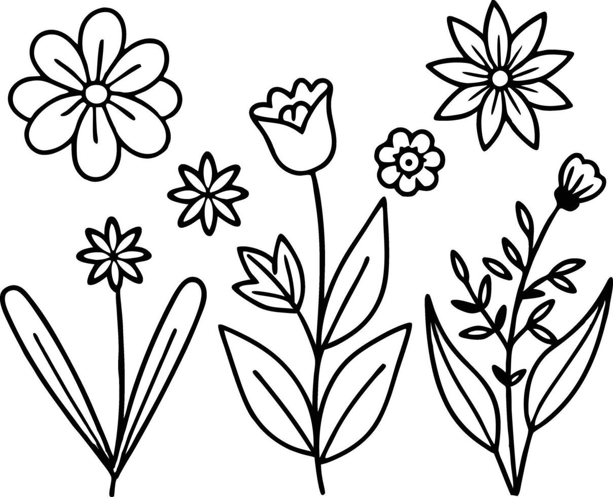 Set of Plants with Leaves Line Art Drawing vector