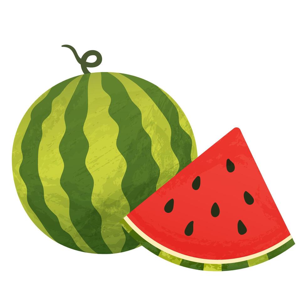 bright whole watermelon with seeds with watercolor effect vector