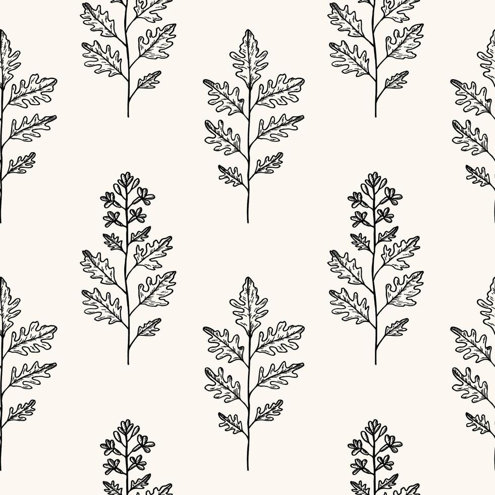 Arugula leafs seamless pattern. Repeating background with Eruca vesicaria, leafy ingredient. Botanical rapport of spicy salad herb, pesto, herbs. Design for card, label, print, paper. Food, medical vector
