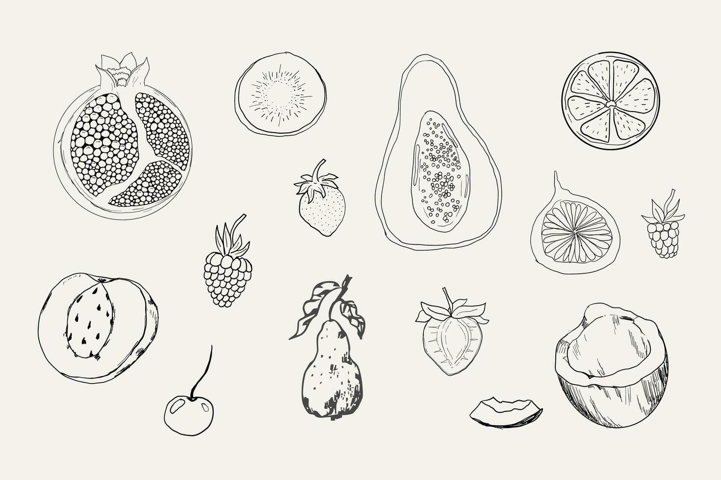 Sketch set fruits, hand drawn tropical fruits and berries. Sweet fresh sliced kiwi, peach and pomegranate, cute cherry and strawberry. Pear with leaves. Coconut slice and half figs. vector