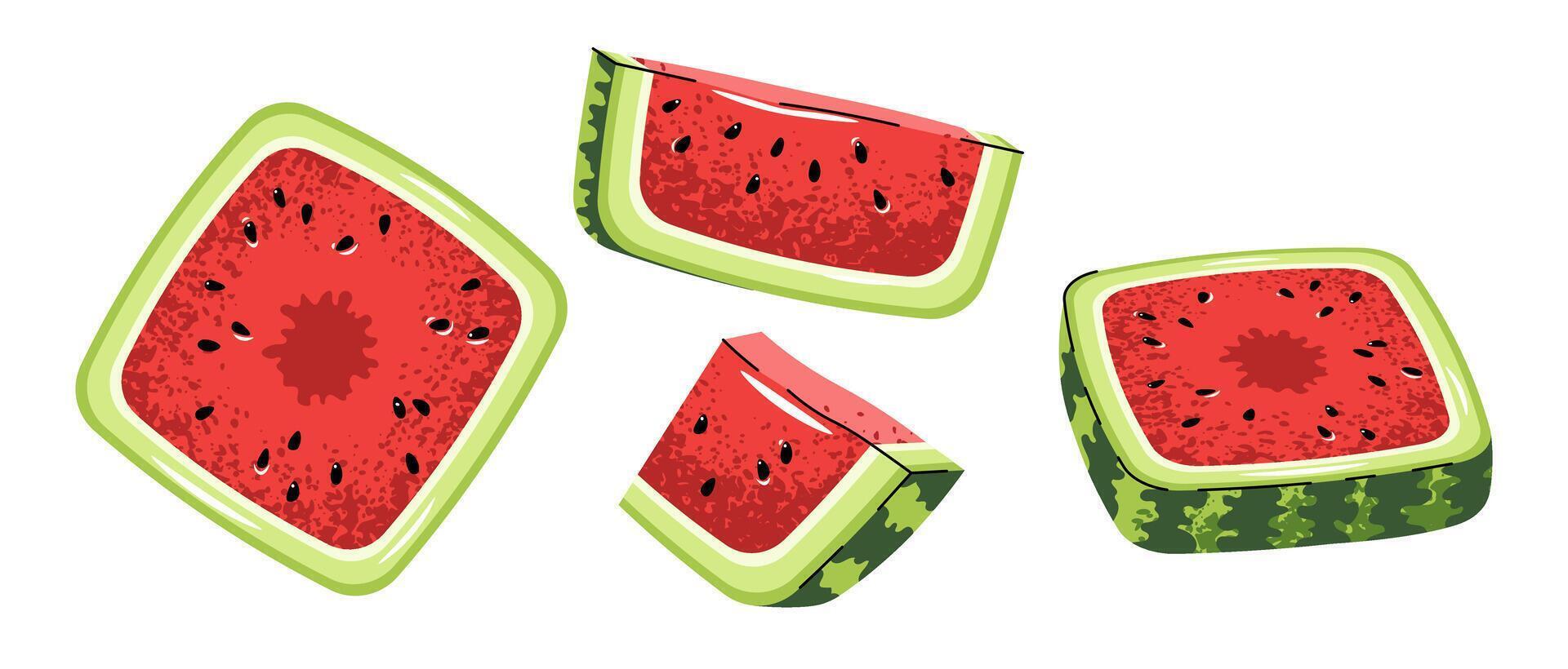 Square watermelon pieces collection isolated on white. Flat design set of geometric fruit chunks and slices. Perfect for logos, stickers, packaging, summer branding, labels, kitchen decor vector