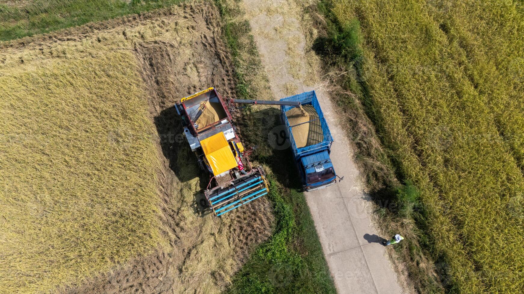 High angle view of a combine harvester discharging grain from uploader into truck carriage. photo