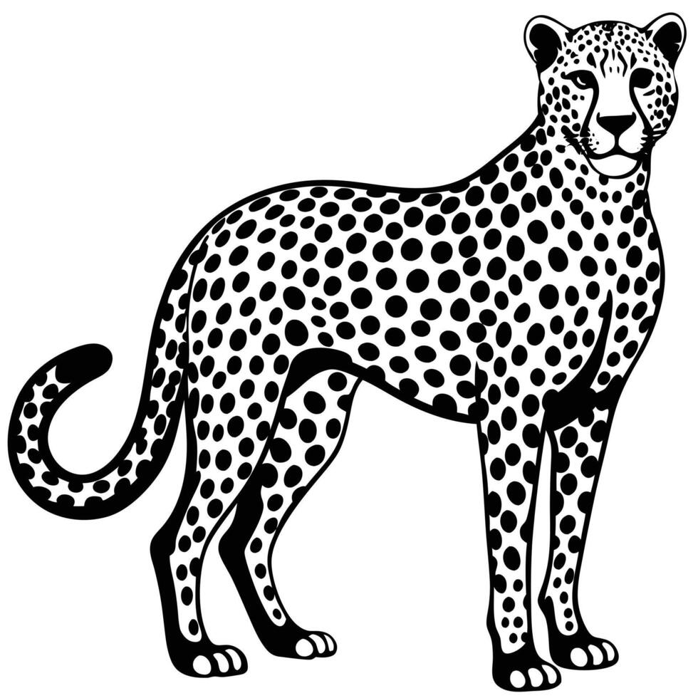 Black and white silhouette of a graceful cheetah standing with detailed spot pattern vector