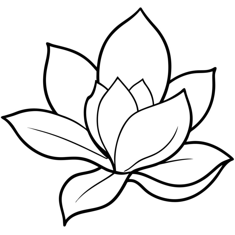 Simple black and white illustration of a blooming magnolia flower on a white background vector