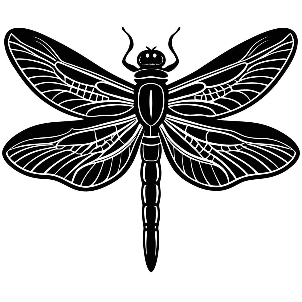Elegant black and white illustration of a detailed dragonfly insect with decorative wings vector