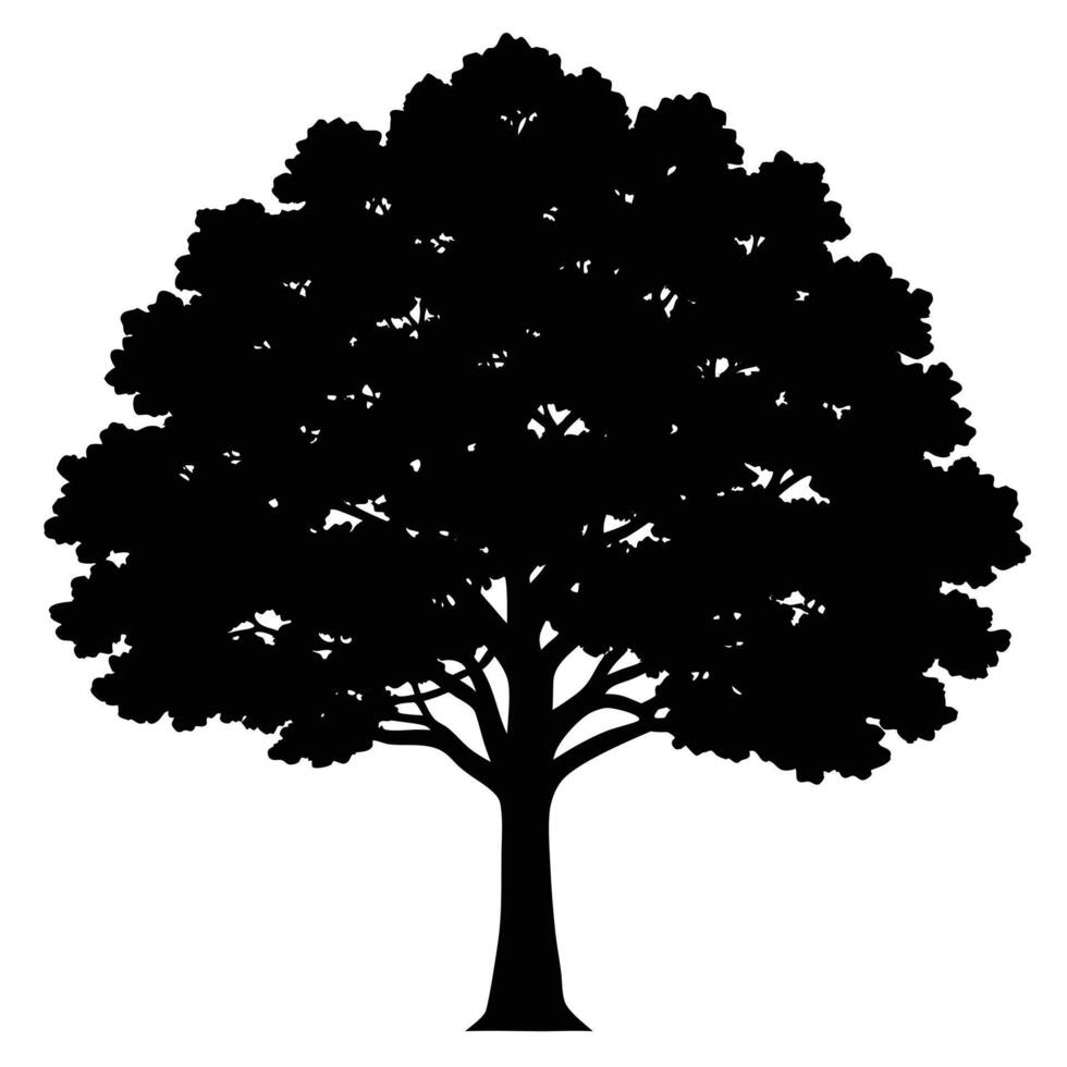 Silhouette of a large mature tree with detailed branches and lush foliage isolated on white background vector