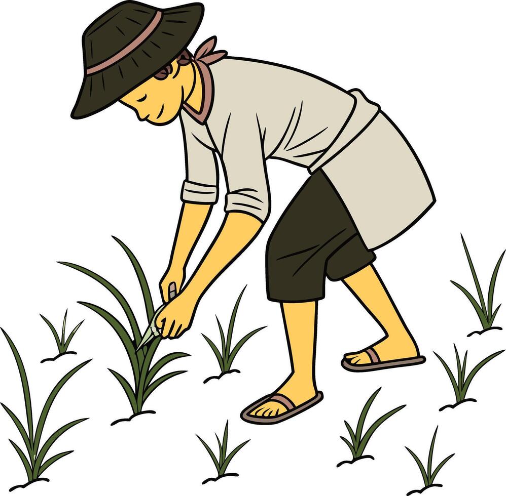 Farmer planting rice, on white background vector