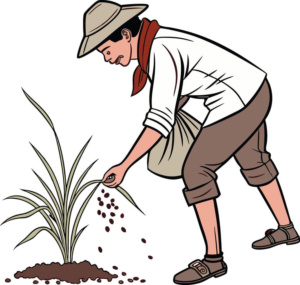 Farmer planting rice on the field vector