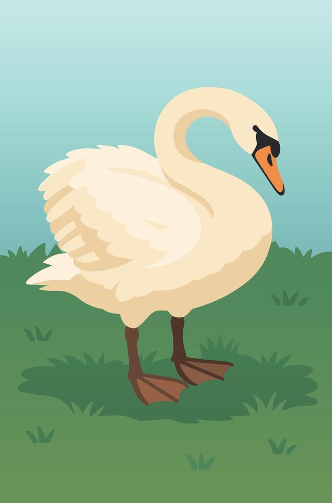 A mute swan standing on grass vector