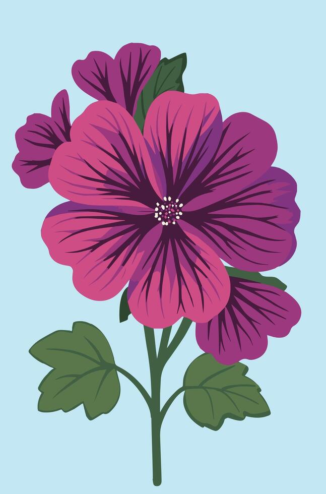 Malva sylvestris or common mallow illustration on a blue background vector
