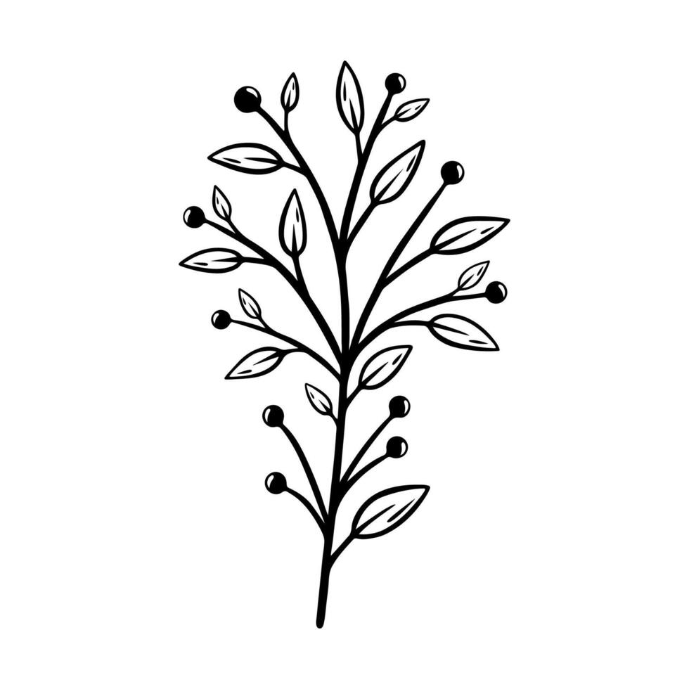 Branch of a plant with berries and leaves. Hand drawn botanical element. illustration isolated on white background. vector