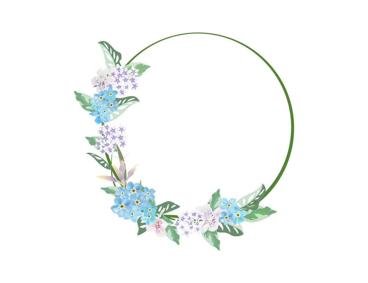 Scorpion grasses flower blossom flow on frame background vector
