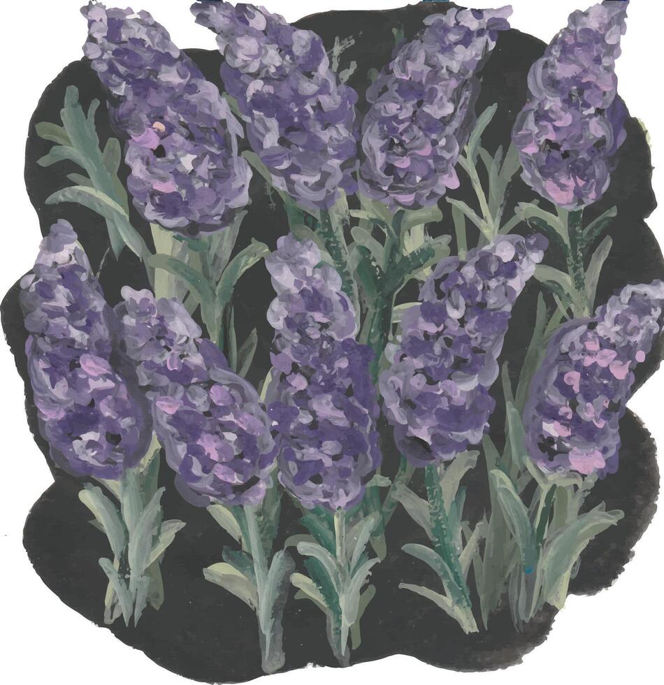 Lavender Blossoms in a Black Square watercolour art vector