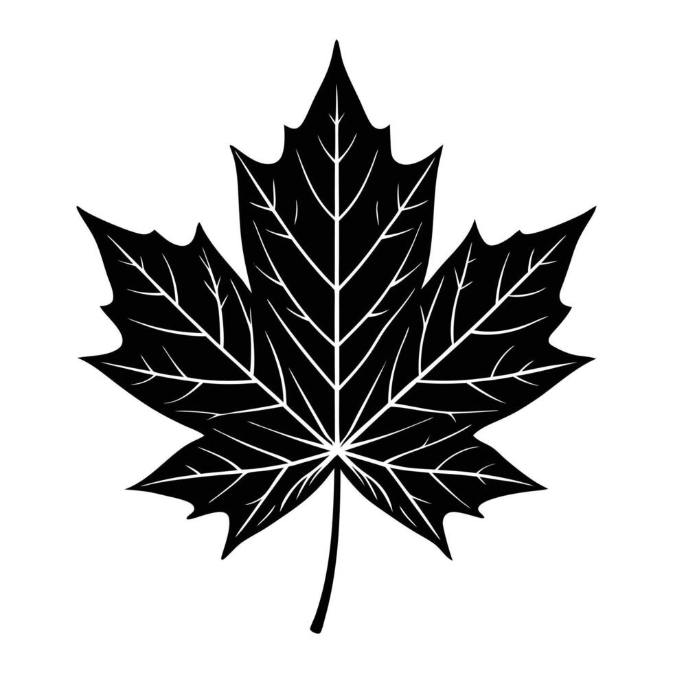 a black and white maple leaf on a white background vector