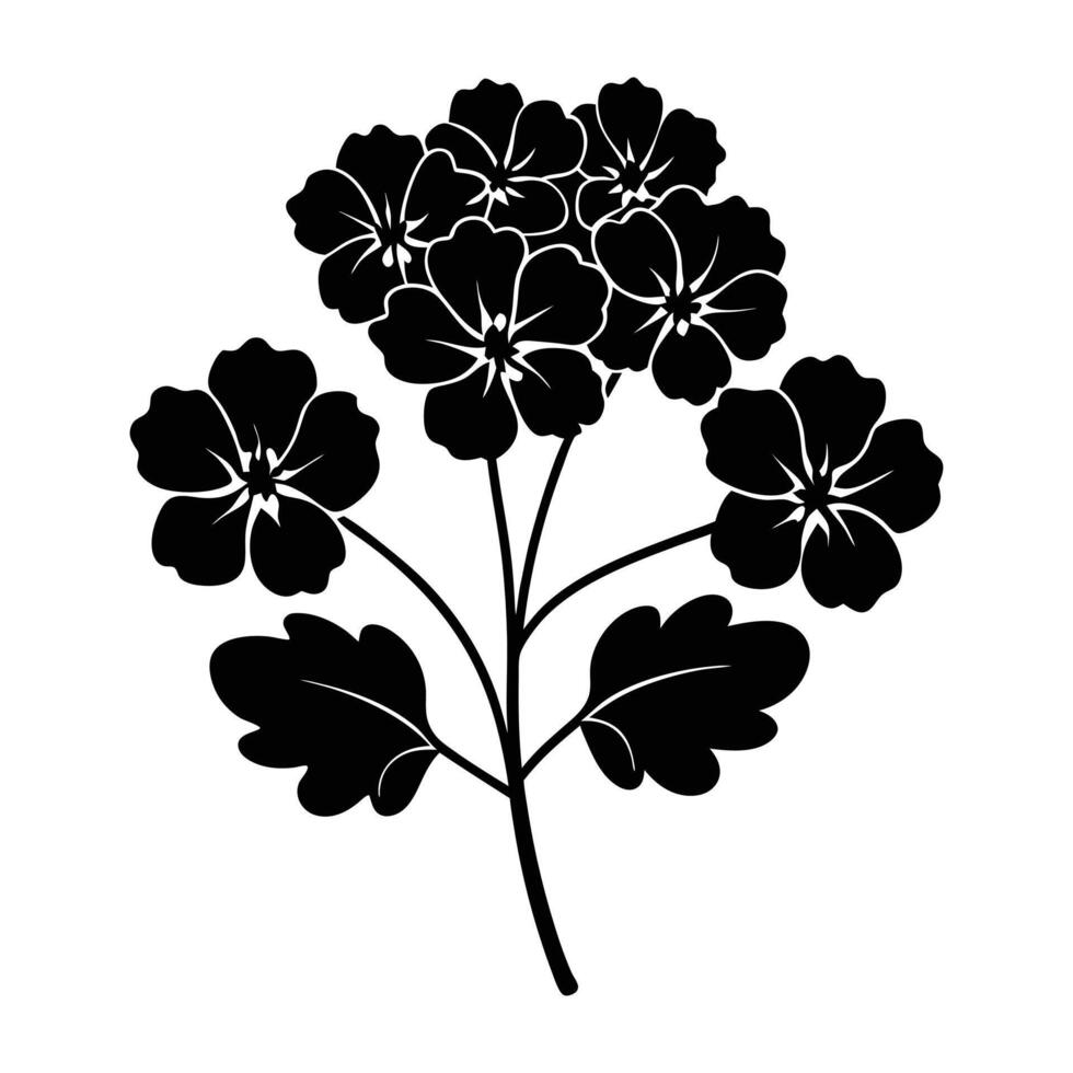 black and white illustration of a geranium flower. vector