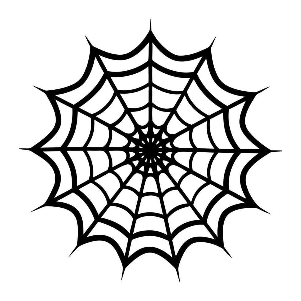 spider web illustration. vector