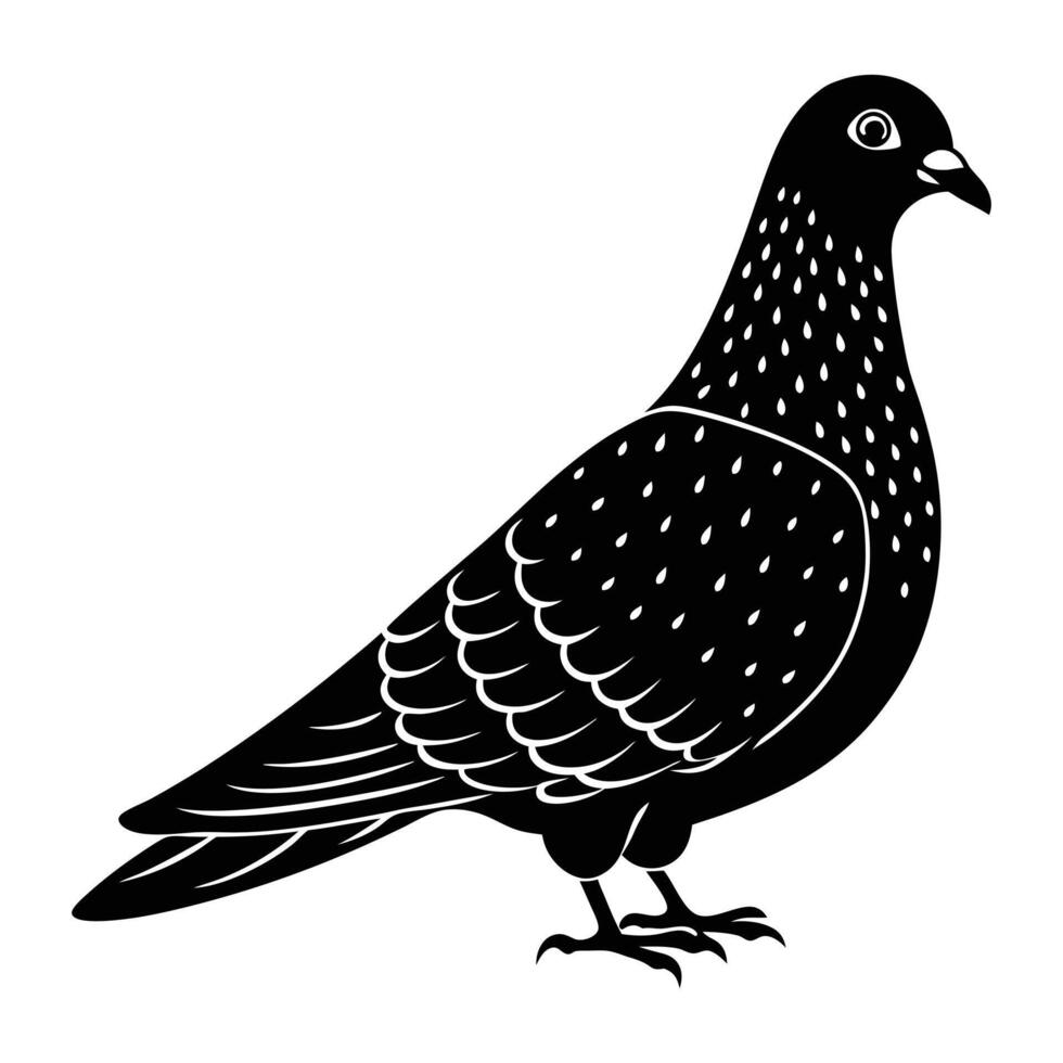 a black and white illustration of a pigeon vector