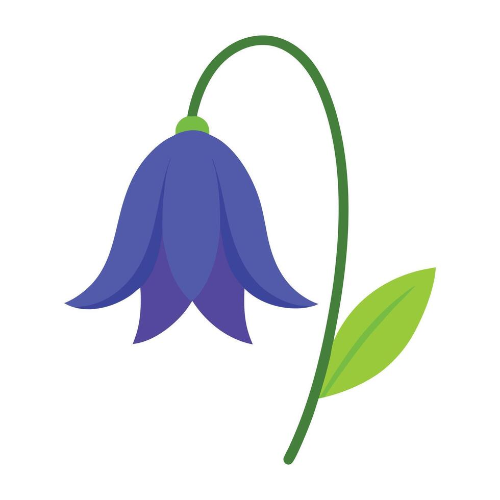 a bluebell flower with green leaves on a white background vector