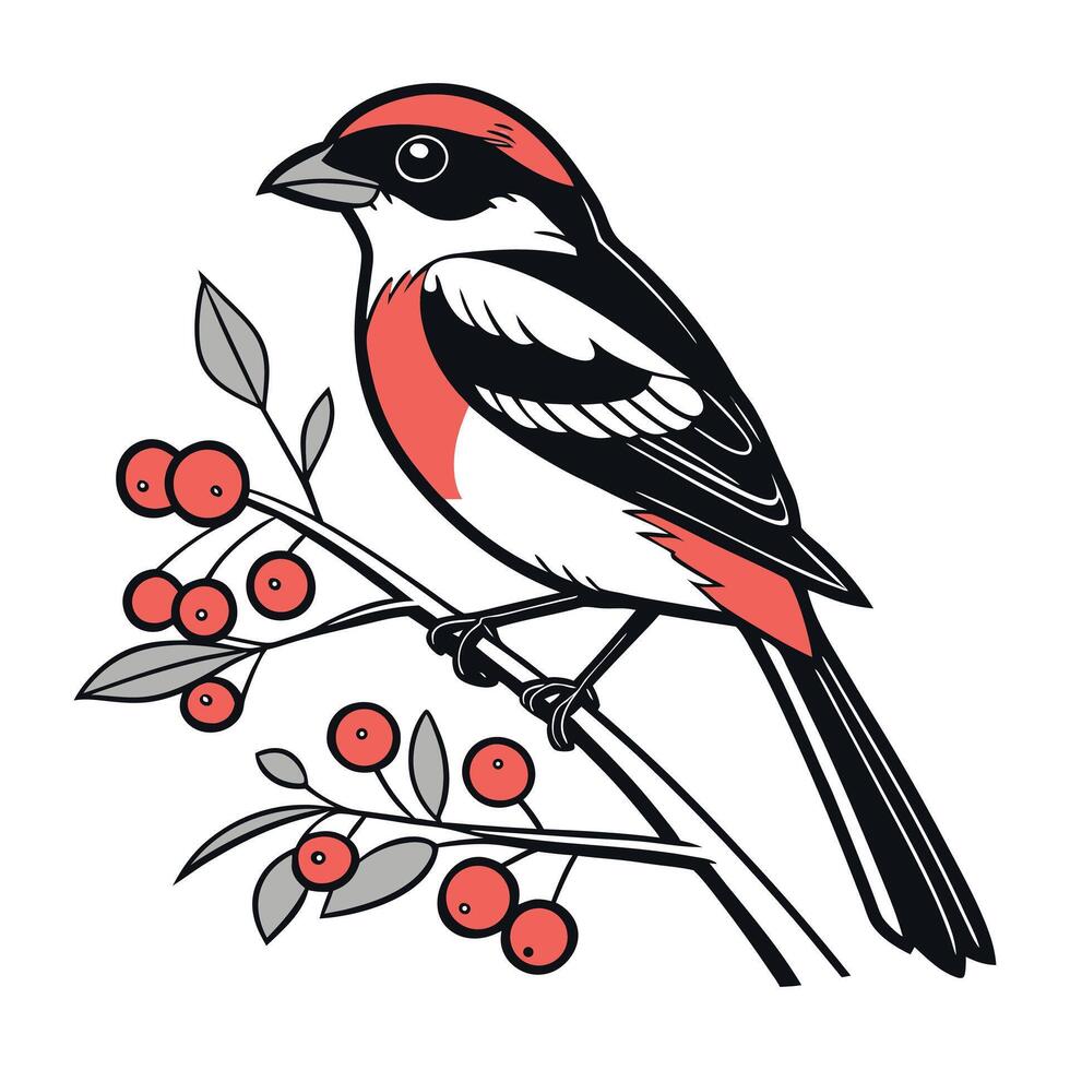 a red and black bird perched on a branch with berries vector