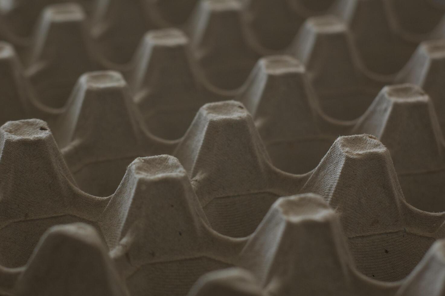 Close up empty eggs carton box photo
