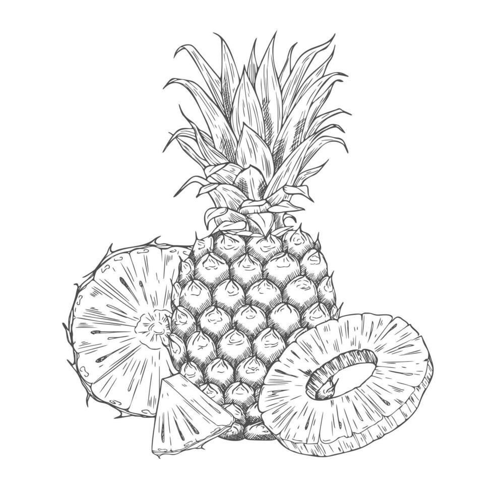 Hand drawn Pineapple icon sketch vector