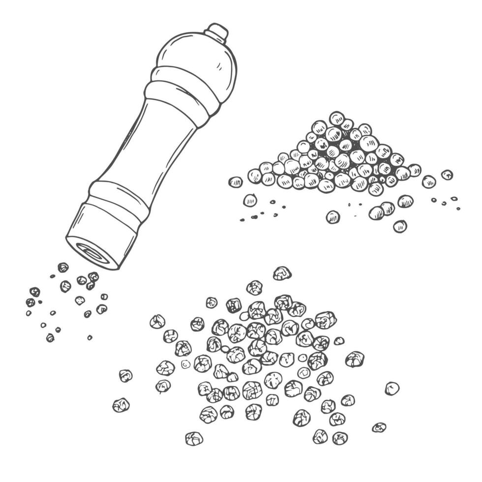 Pepper mill drawing. vector