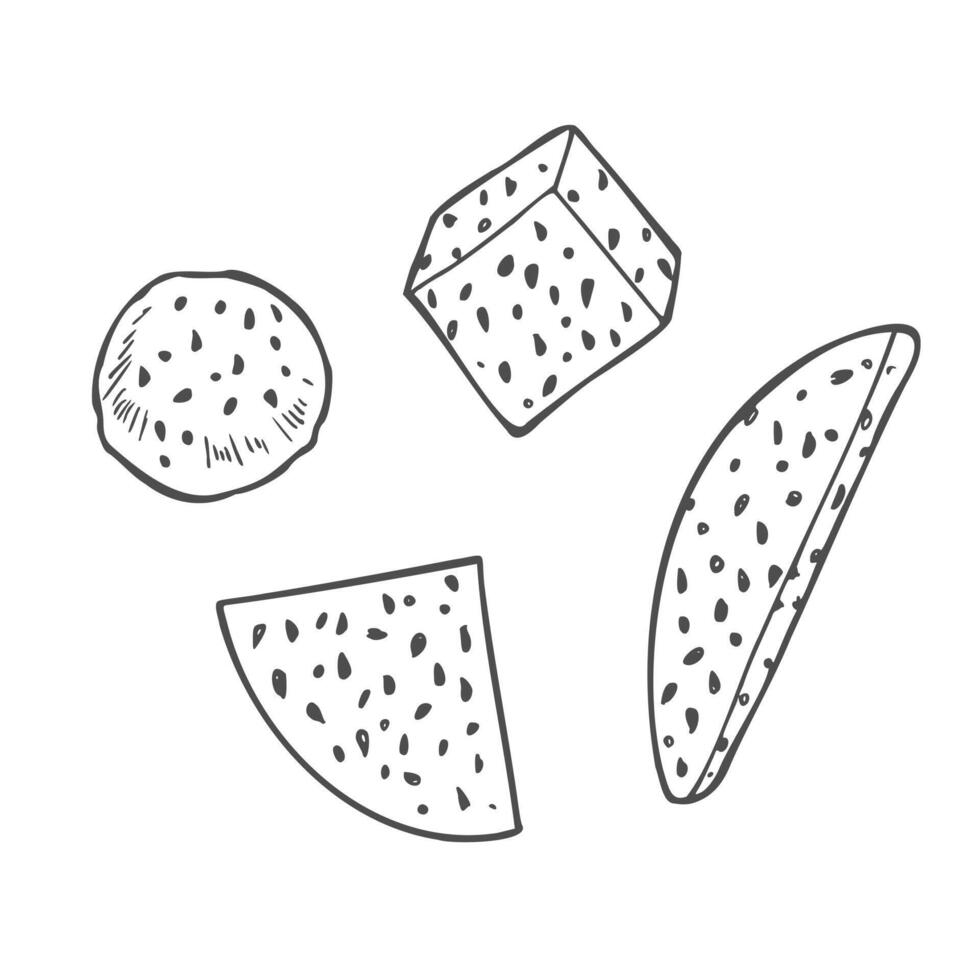 Piece of dragon fruit. Pitaya ink sketch isolated on white background. Hand drawn illustration. vector