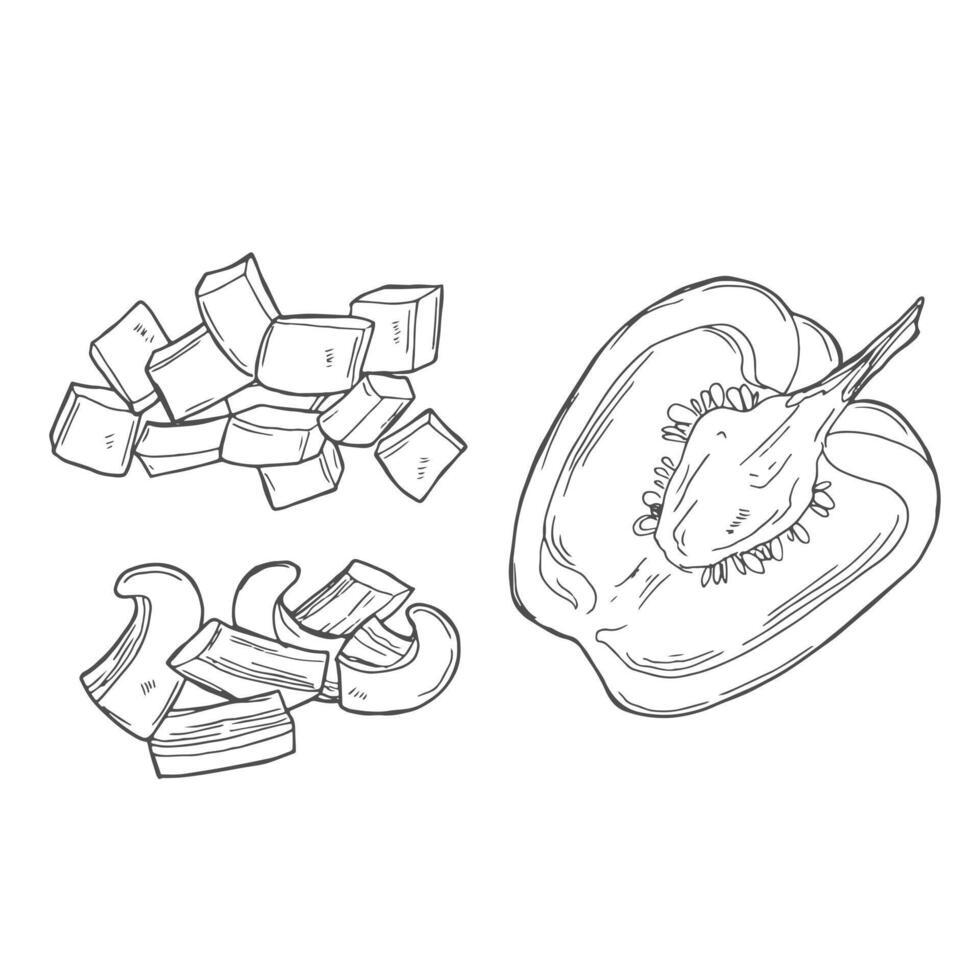 Pepper hand drawn set. Vegetable sketch style object, full, half and slices. Isolated bell pepper. Detailed vegetarian food drawing. Farm market product. vector