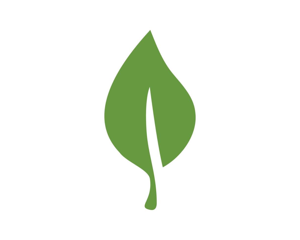 A simple, clean graphic illustration of a single green leaf on a white background. Represents nature, growth, sustainability, and organic products. Ideal for ecofriendly branding. vector