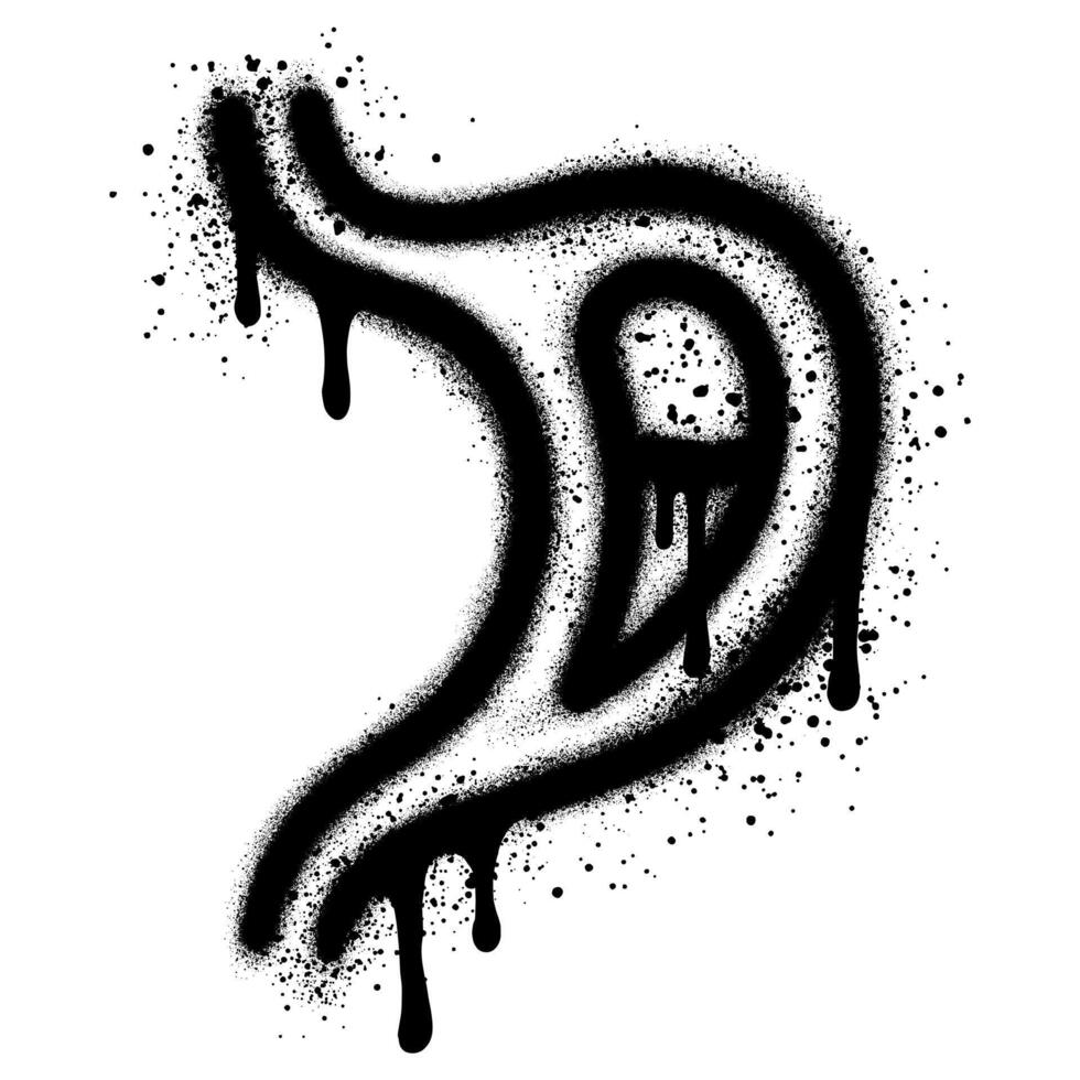 Spray Painted Graffiti Stomach Sprayed isolated with a white background. vector