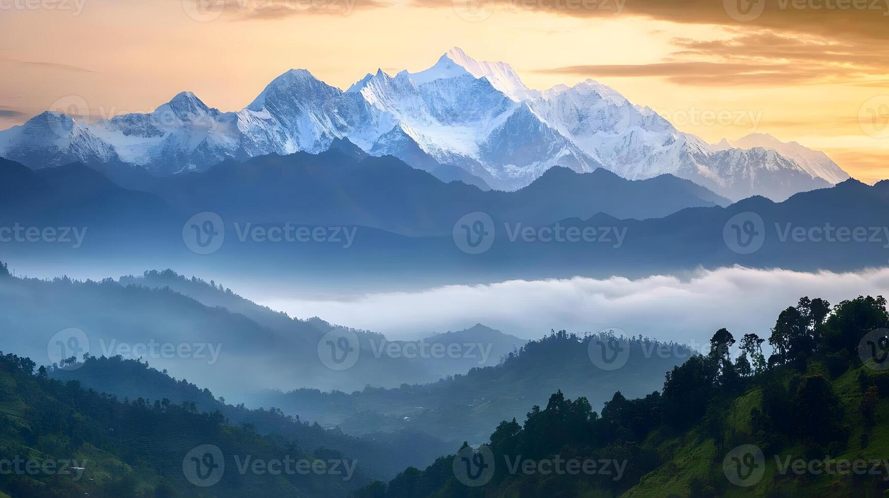 The mountains are covered with fog and trees photo