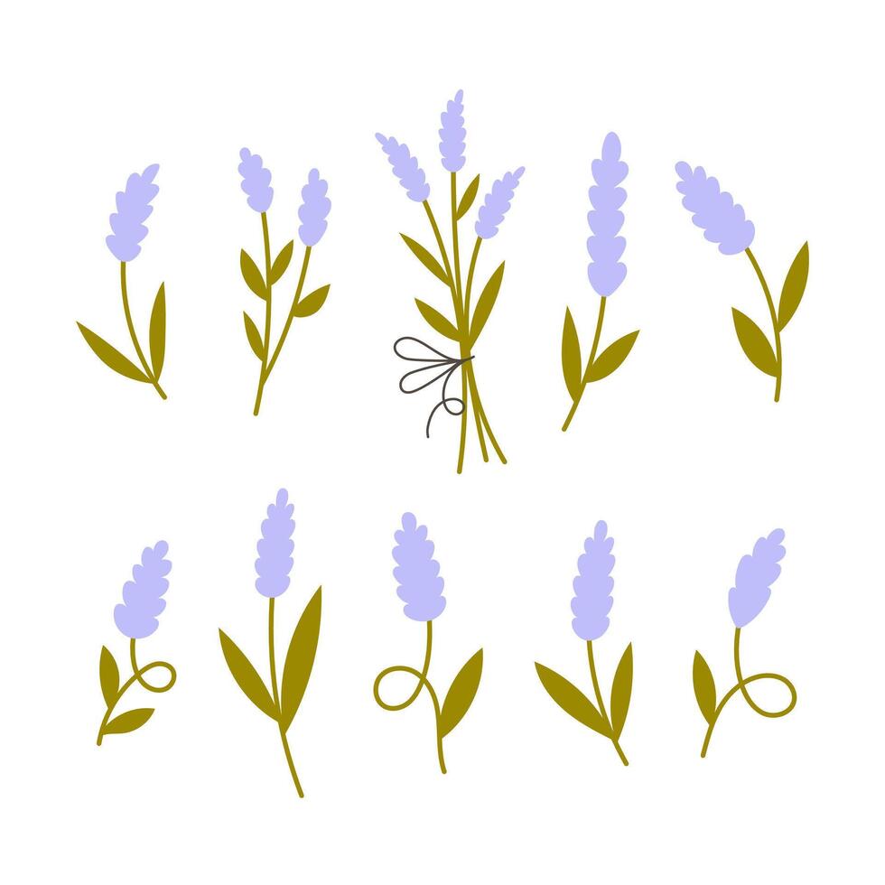 Lavender Sprigs Set vector