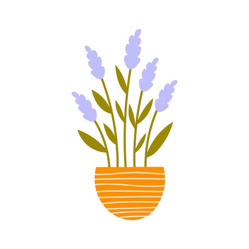 Lavender Flowers in Pot vector