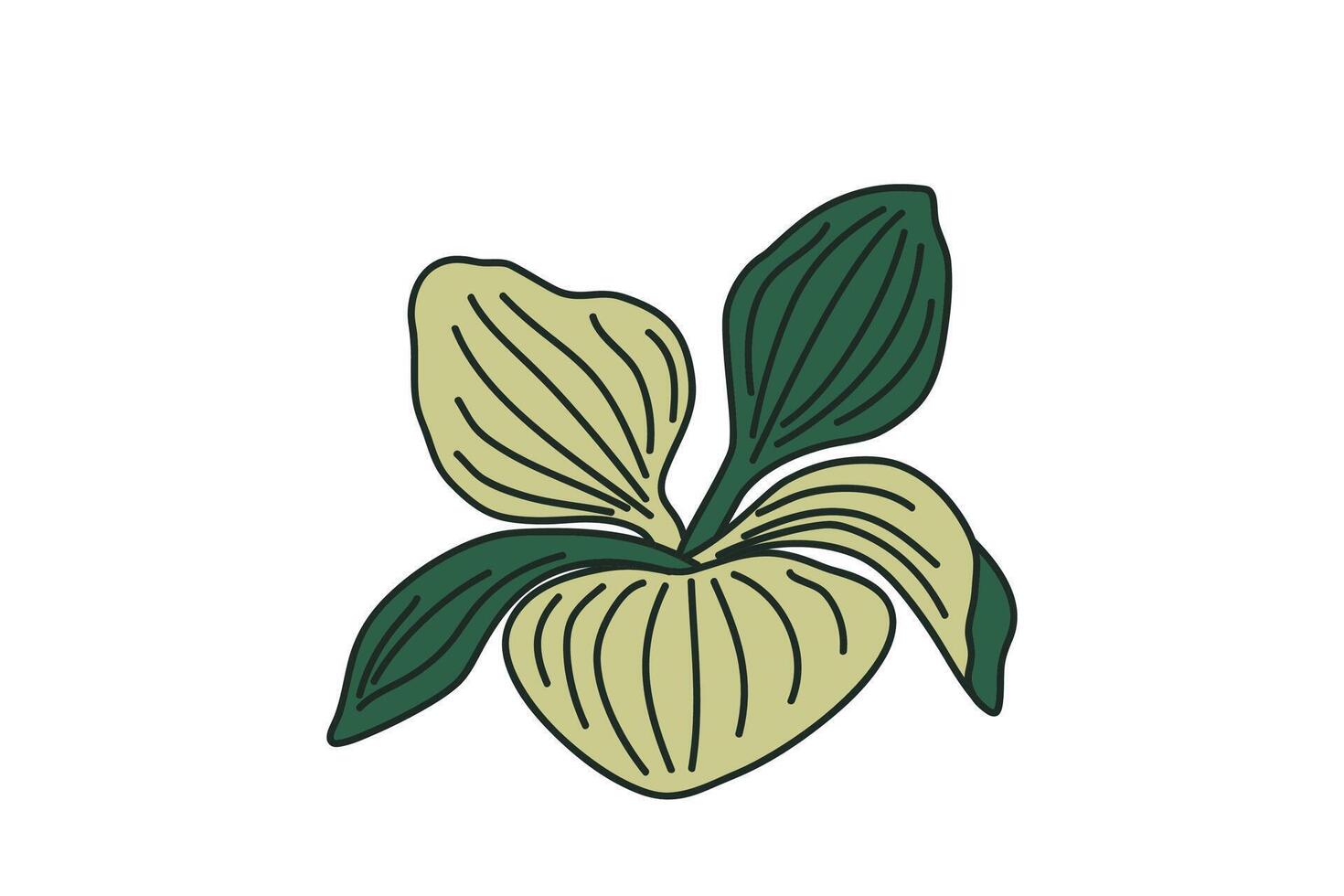 Botanical green leaves isolated on white background. Hand drawn foliages plant illustration. Graphic design element for Birthday Wedding Greeting Card Flyer Poster Invitation Print Page Book vector