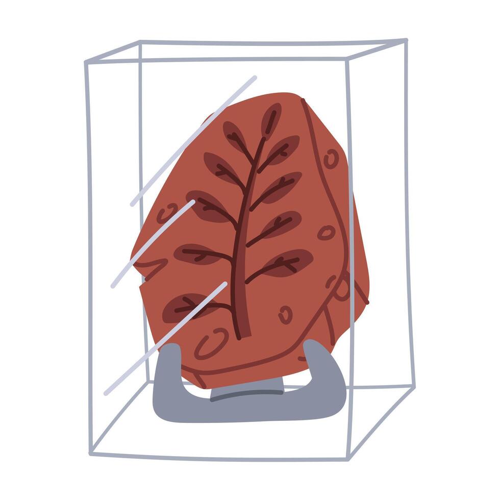 Fossils with plant print on stand, under glass as museum exhibit. A subject for history. Flat color illustration. For scientific projects, encyclopedias, museum exhibitions, materials about dinosaurs vector