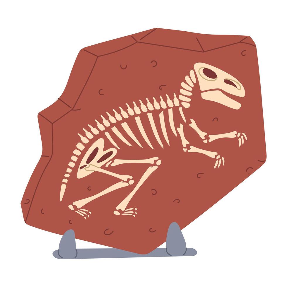 Fossils with tyrannosaurus bones on a stand as museum exhibit. Silhouette of dinosaur in stone. Flat color illustration. For scientific projects, encyclopedias, museum exhibitions, materials dinosaurs vector