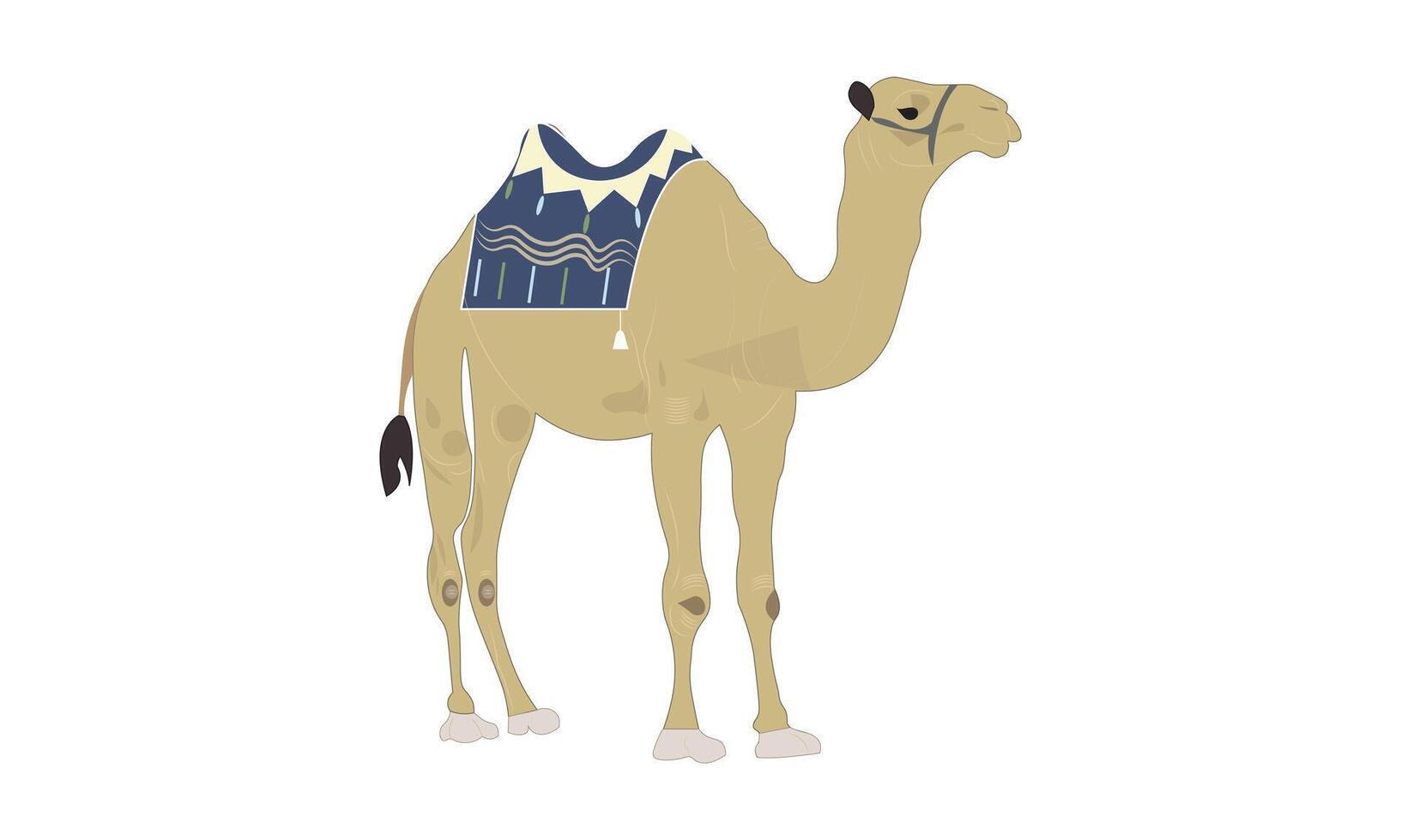 Camel with Saddle Illustration on a white background vector