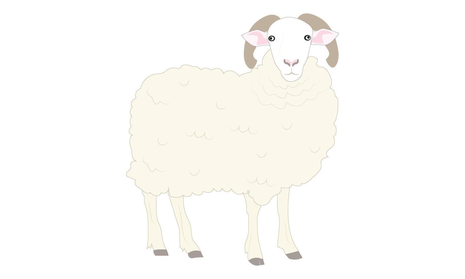 A Fluffy White Sheep with Curly Horns Illustration vector