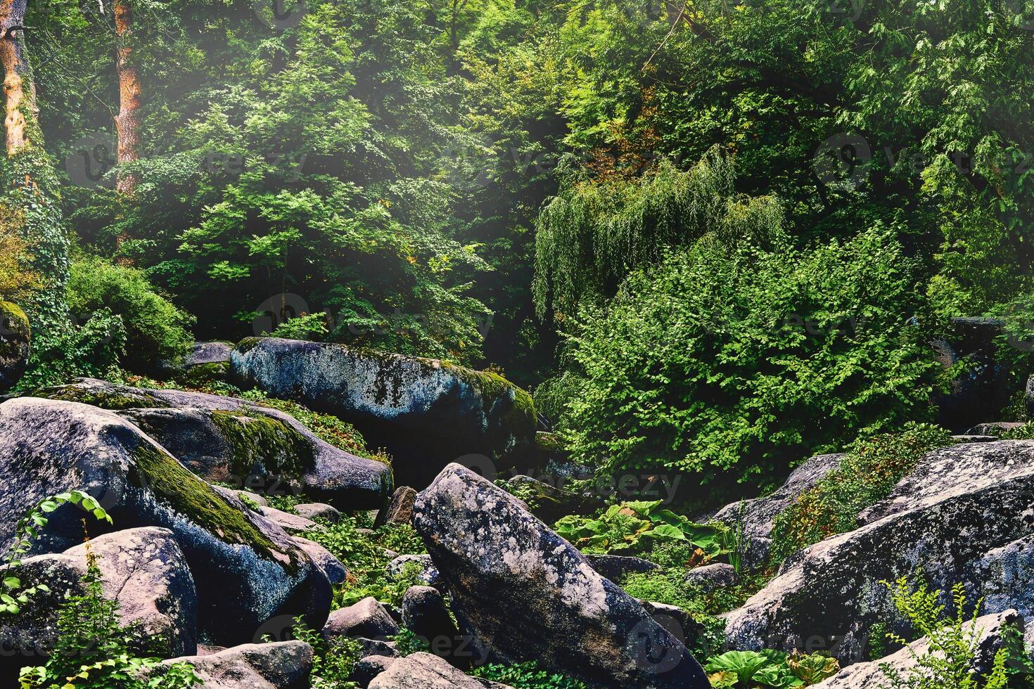 Green fresh forest thicket with stone formation.Relax mood photo