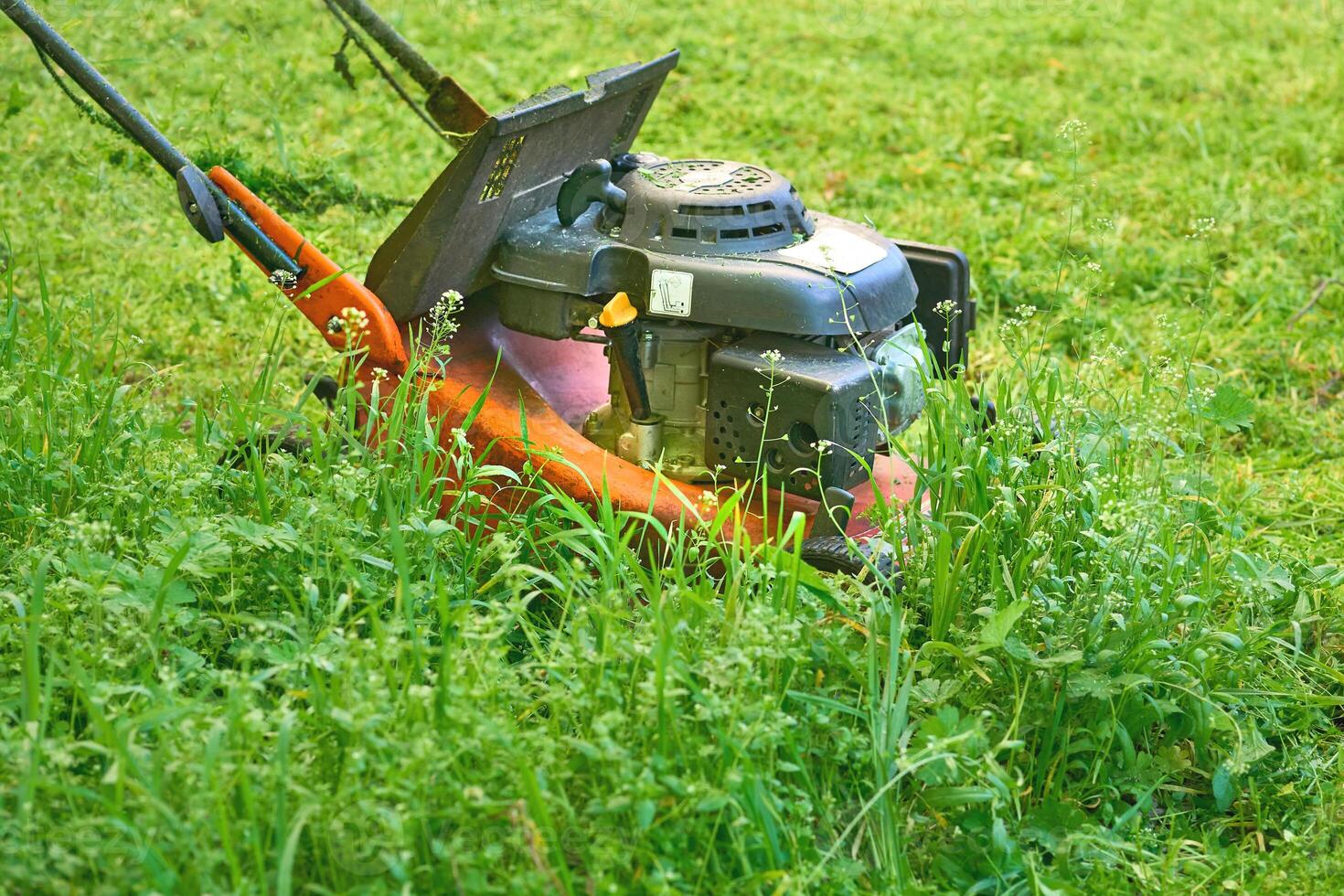 Professional grass summer cutting on lawns with handle lawn mower photo
