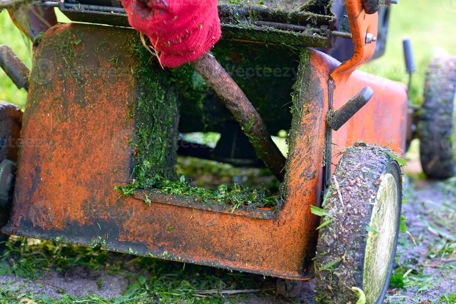Cleaning up mown grass handle lawn mower.Professional grass cutting photo